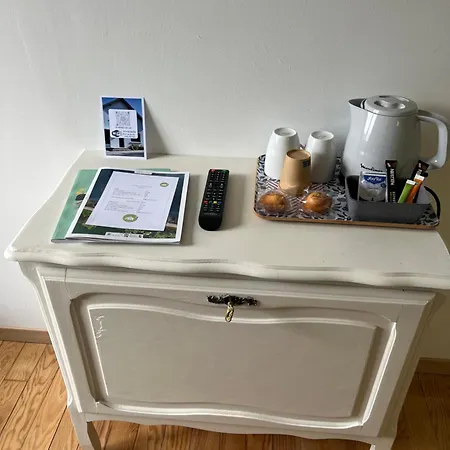 L Hirondelle Du Printemps 2